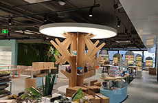 寵物柜臺造型的多樣性迎來了大型極寵家寵物樂園